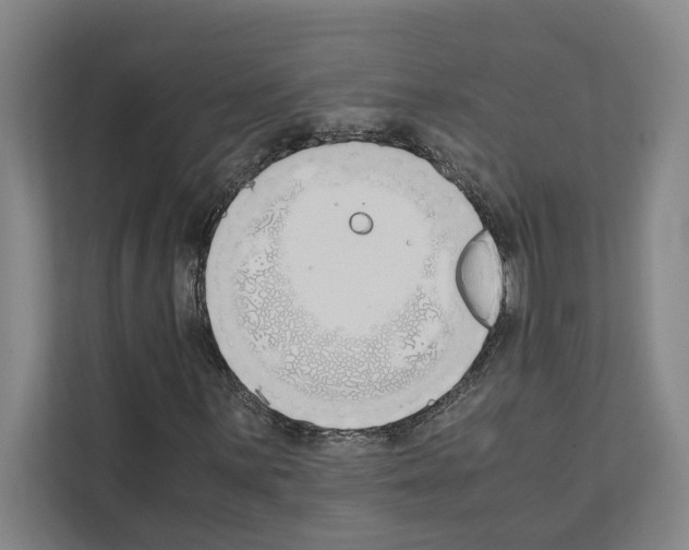 X0000111141059200908111109