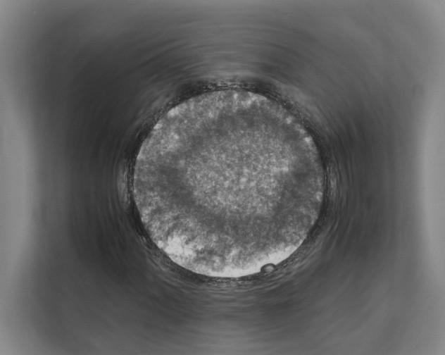 X0000111141060200908111109