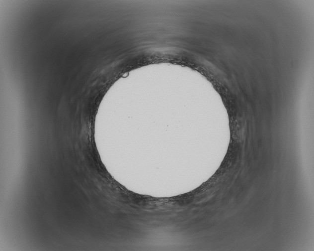 X0000111141061200908111109