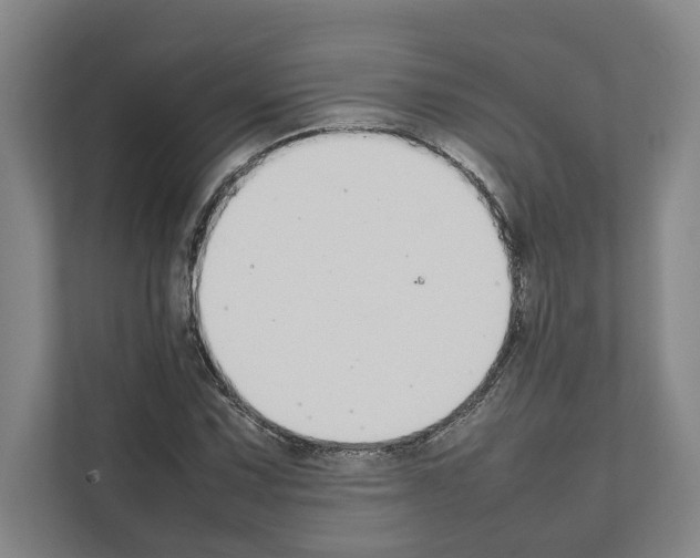 X0000111141067200908111109