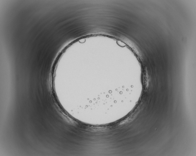 X0000111141076200908111109