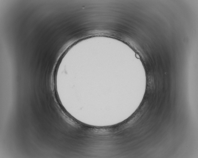 X0000111141082200908111109