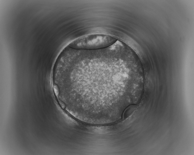 X0000111141084200908111109