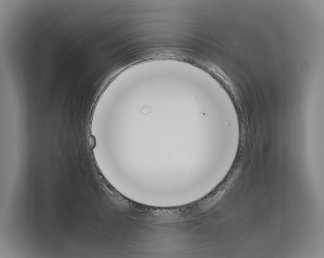 X0000111141089200908111109