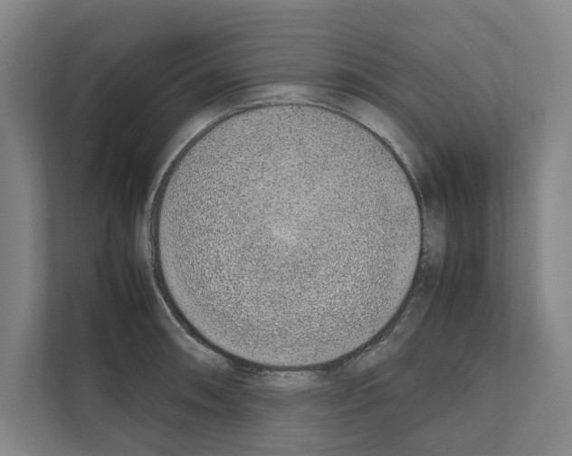 X0000111141090200908111109