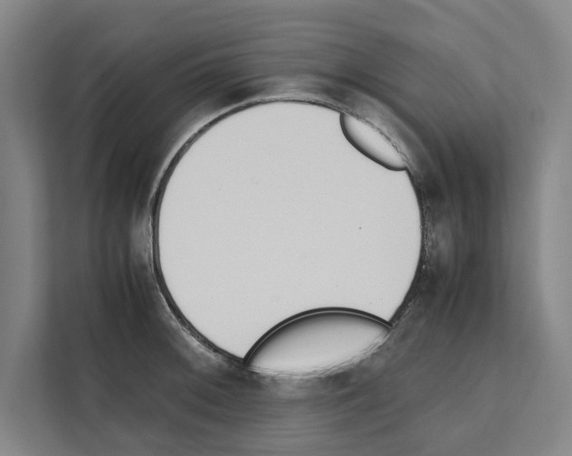 X0000111141092200908111109