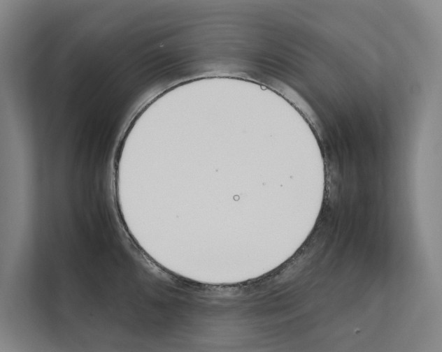 X0000111141096200908111109