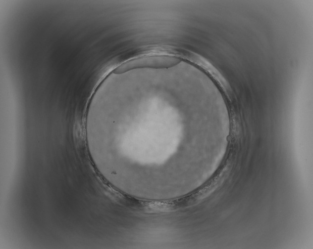 X0000111141097200908111109