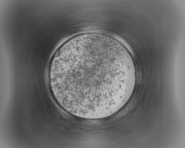 X0000111141101200908111109