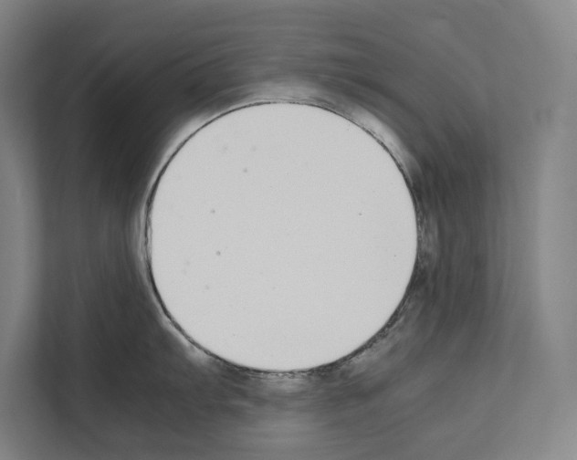 X0000111141103200908111109