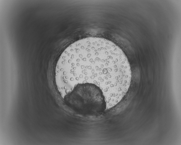 X0000111141105200908111108