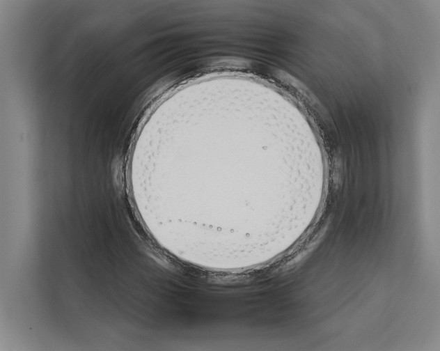 X0000111141113200908111108