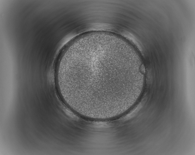 X0000111141114200908111108