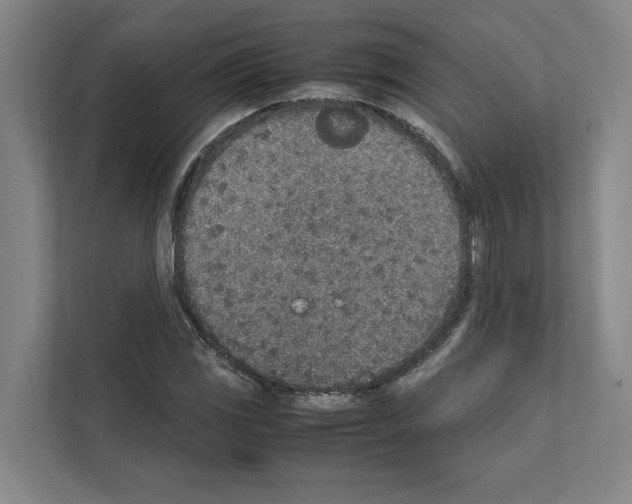 X0000111141117200908111108