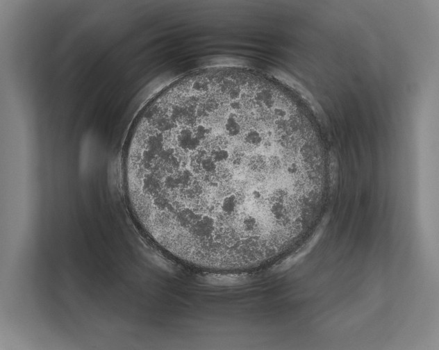 X0000111141121200908111108