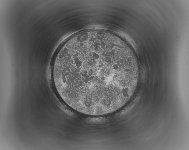 X0000111141125200908111108