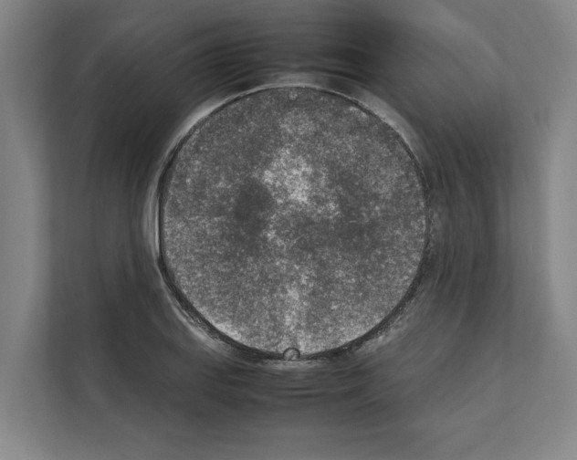 X0000111141127200908111108