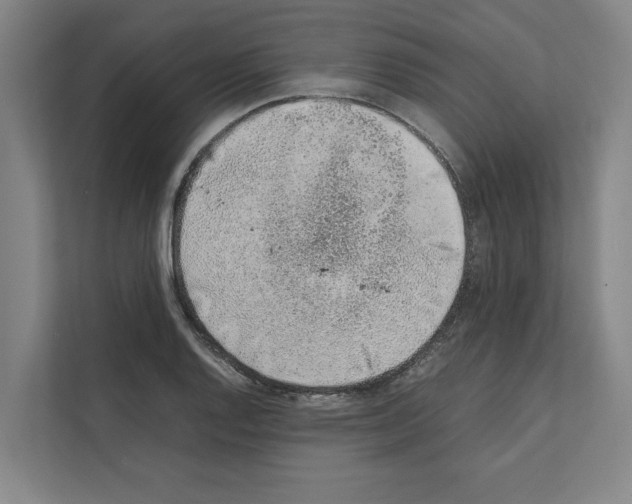 X0000111141128200908111108