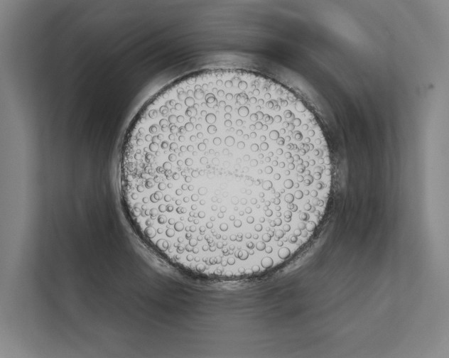 X0000111141130200908111108