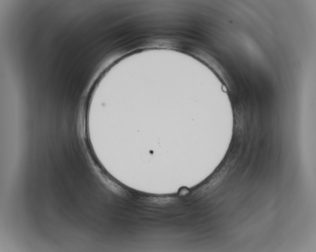 X0000111141131200908111108