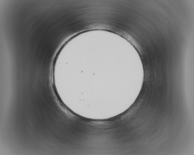 X0000111141132200908111108