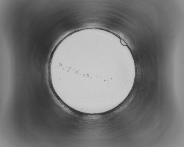 X0000111141134200908111108