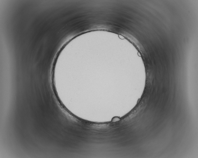 X0000111141135200908111108