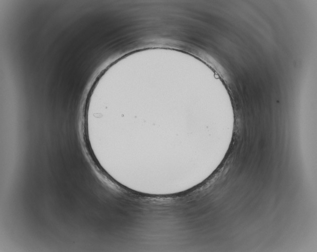 X0000111141136200908111108