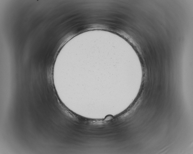 X0000111141137200908111108