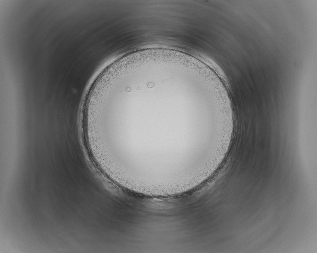 X0000111141138200908111108