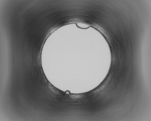 X0000111141145200908111109