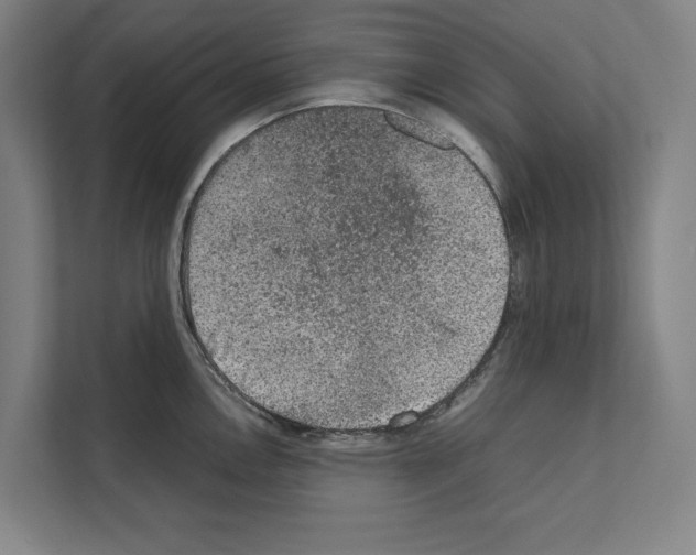 X0000111141146200908111109