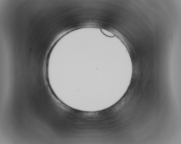 X0000111141147200908111109