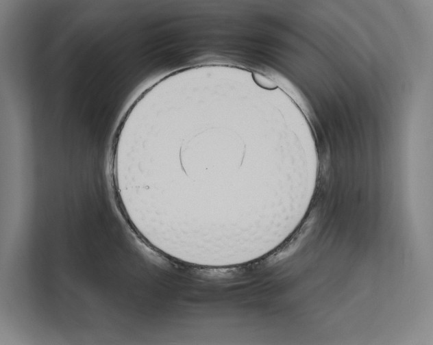 X0000111141149200908111109