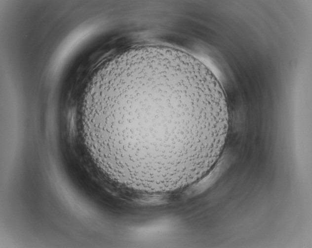 X0000111141150200908111109