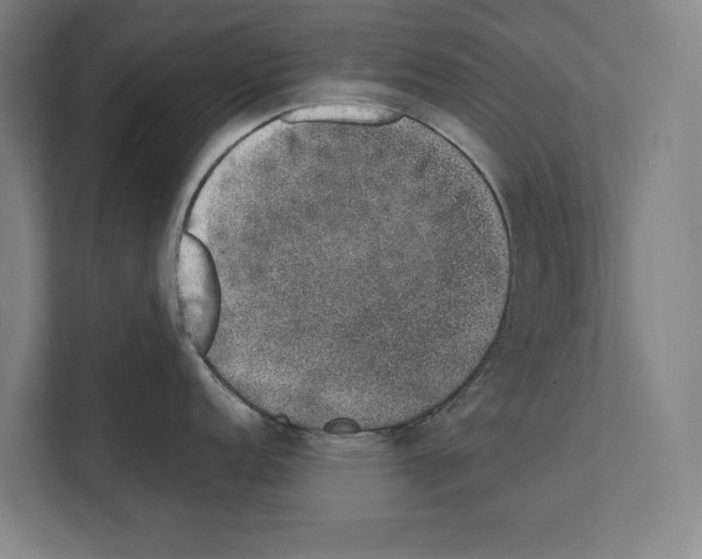 X0000111141152200908111109