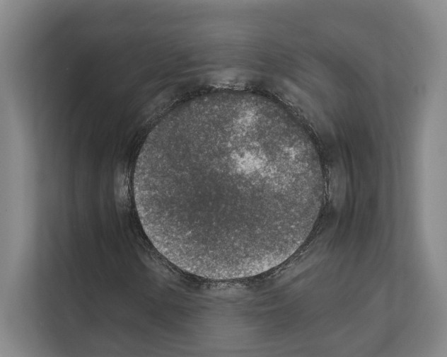 X0000111141154200908111108