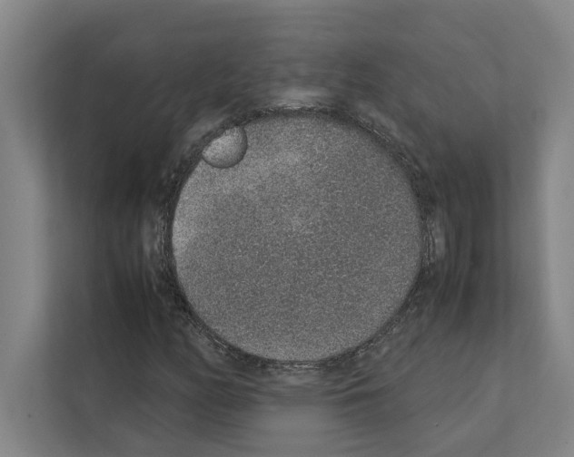 X0000111141158200908111108