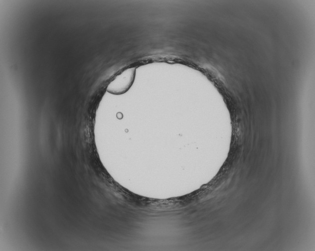 X0000111141159200908111108