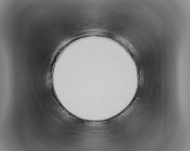 X0000111141164200908111108