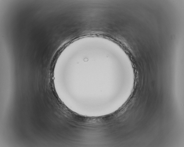 X0000111141165200908111108