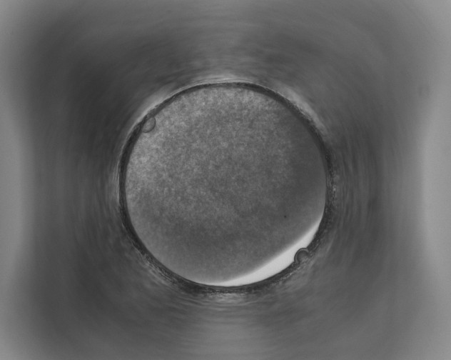 X0000111141173200908111108