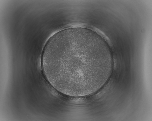 X0000111141174200908111108