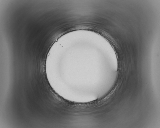 X0000111141177200908111108