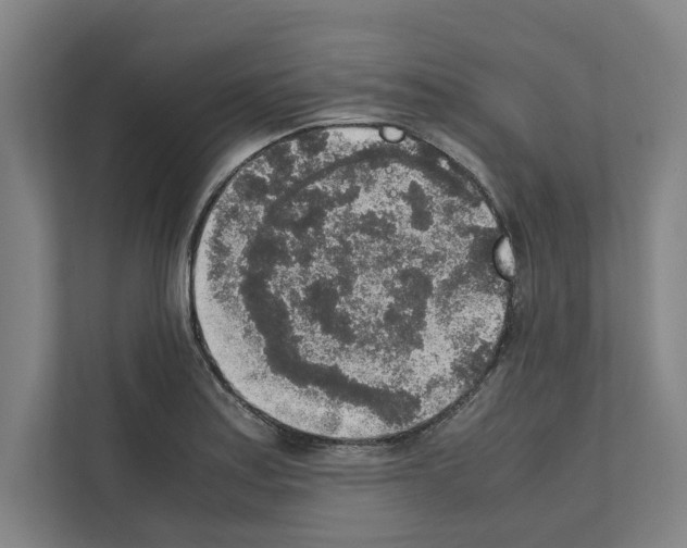 X0000111141179200908111108