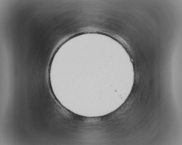 X0000111141183200908111108