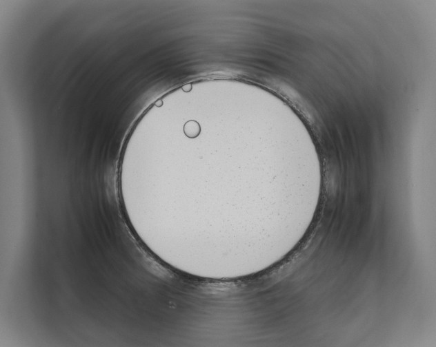 X0000111141186200908111108