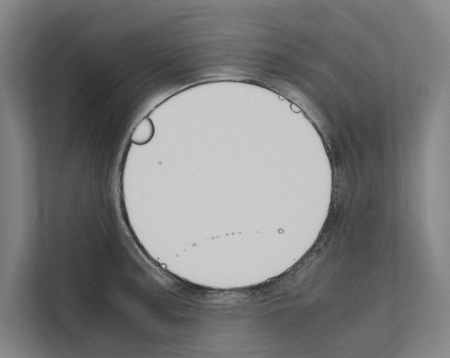 X0000111141187200908111108