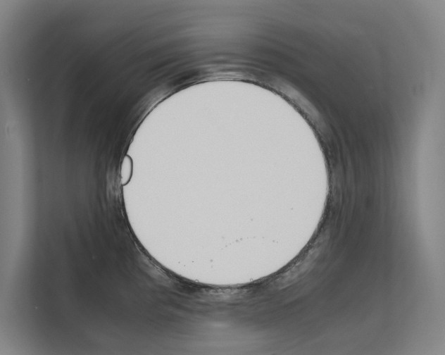 X0000111141193200908111108