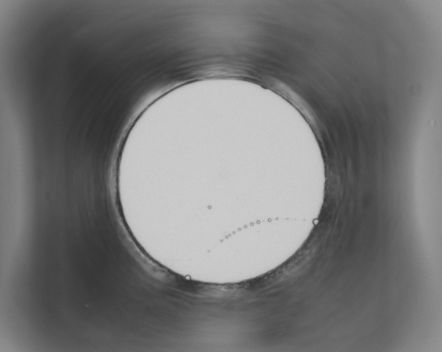 X0000111141195200908111107